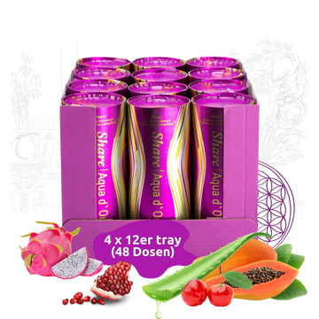 Jagage Aqua d'Oro 48 x 240 ml fermenteeritud puu- ja köögiviljamahlu